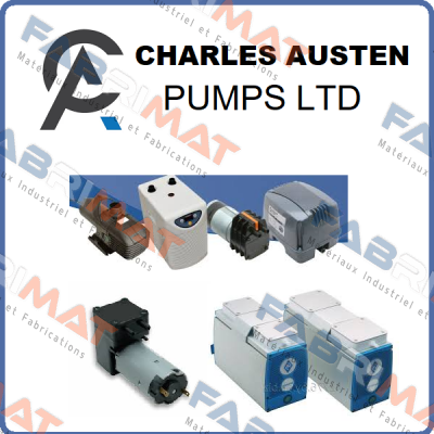 Charles Austen Pumps