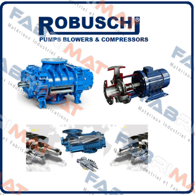 10701  Robuschi