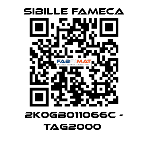 2K0GB011066C - TAG2000  Sibille Fameca