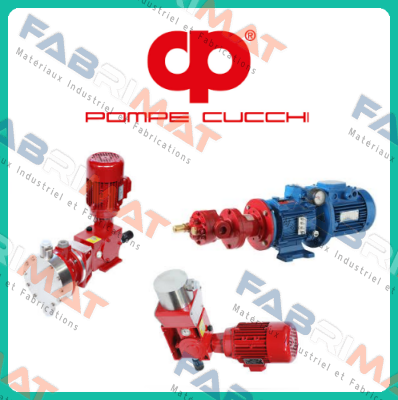 D0NEF0200/19D POMPE CUCCHI SRL