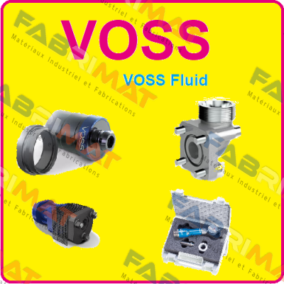 5520000000  Voss