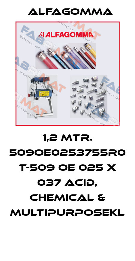 1,2 MTR. 509OE0253755R0 T-509 OE 025 X 037 ACID, CHEMICAL & MULTIPURPOSEKL  Alfagomma