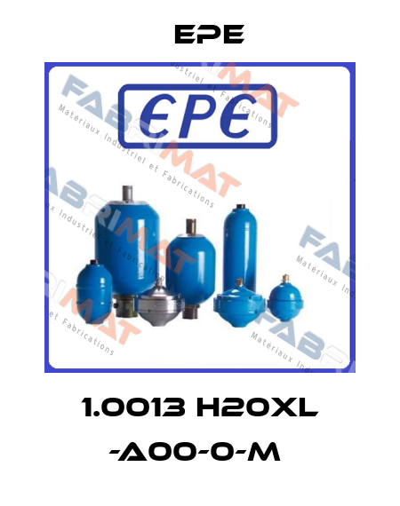 1.0013 H20XL -A00-0-M  Epe