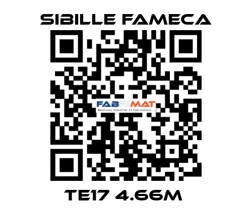 TE17 4.66M  Sibille Fameca