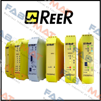 SP-R-13-309-81 Reer