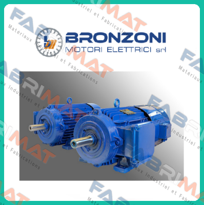 2.1Ton GaerMotor 220/380V 50/60Hz  Bronzoni