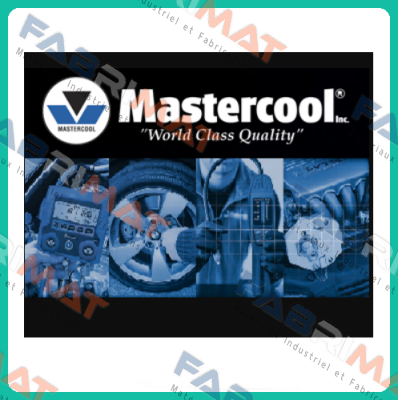 41721  Mastercool Inc