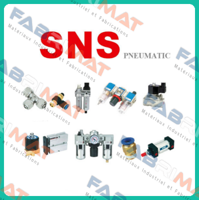 AR3000-03   SNS Pneumatic