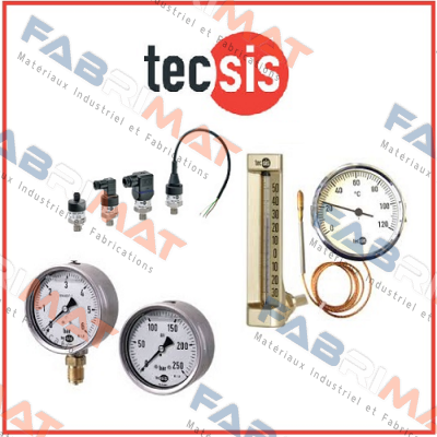 P2630B082901  Tecsis (WIKA Group)