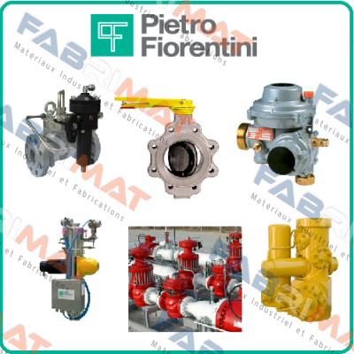 Gas governors with filter  Pietro Fiorentini