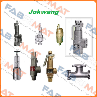 FF100-C-3/4"D1"-A21-212-CN2 40BARG  Jokwang