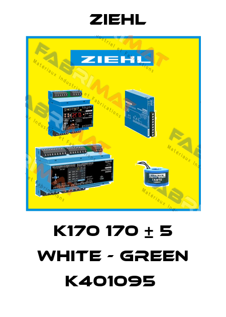 K170 170 ± 5 WHITE - GREEN K401095  Ziehl