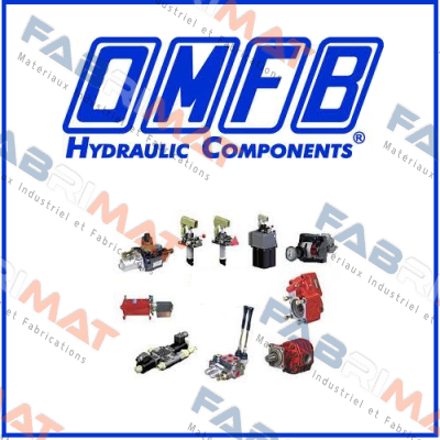 016-021-00172 OMFB Hydraulic