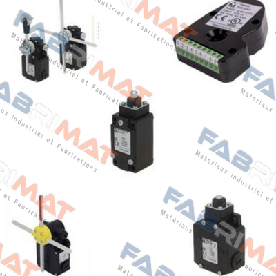 OVER LOAD LIMIT SWITCH P/N BT3 Ter Tecno Elettrica Ravasi