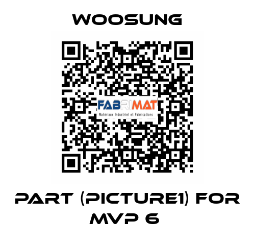 PART (PICTURE1) FOR MVP 6  WOOSUNG