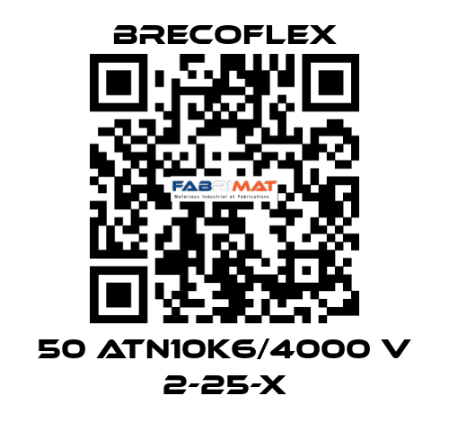 50 ATN10K6/4000 V 2-25-X Brecoflex