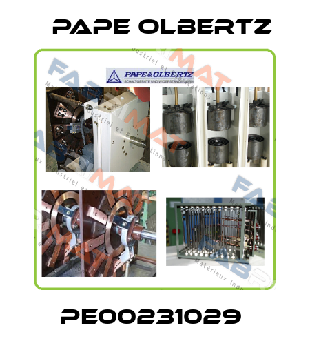 PE00231029  Pape Olbertz