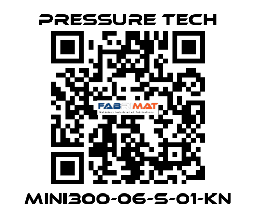 MINI300-06-S-01-KN Pressure Tech