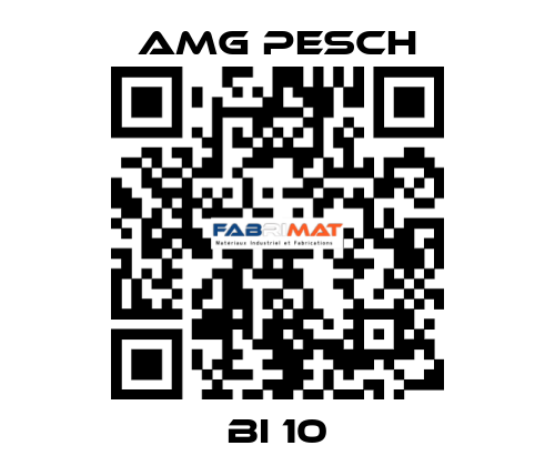 BI 10 AMG Pesch