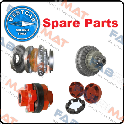 ROTOR C./W. SHAFT AND BEARINGS            FOR DRUM BRAKE M 80/60  Westcar