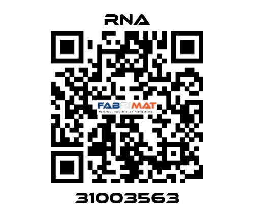 31003563 RNA