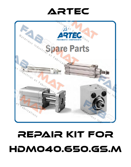 repair kit for HDM040.650.GS.M ARTEC