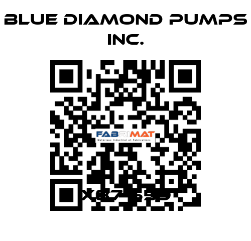 X87-559 Blue Diamond Pumps Inc.