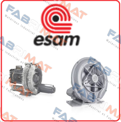 0800165 Esam