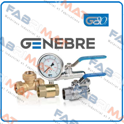 Spring for Genenbre valve GN-17 S5 F07  Genebre