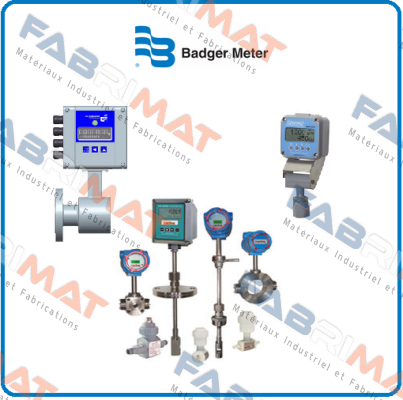 M25-750PNSB-RA-M3 Badger Meter