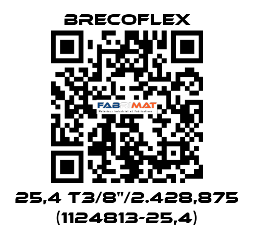 25,4 T3/8"/2.428,875 (1124813-25,4) Brecoflex