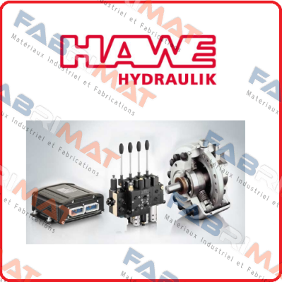 BVP-3RL-WG110 Hawe