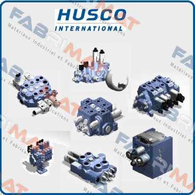 Complete stem with cap for H06A2477 Husco