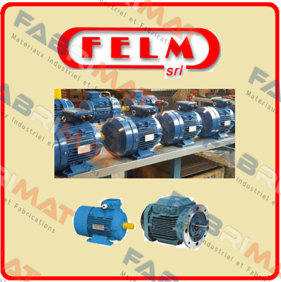 FM2-200L-4 Felm