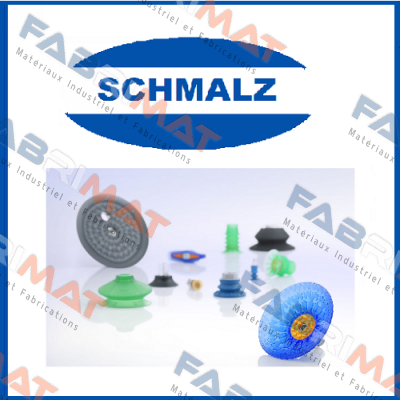 RA 0100 F 503 Schmalz