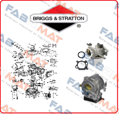 841729 Briggs-Stratton