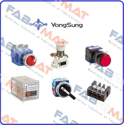YSNPBL2-AL23R YongSung Electric