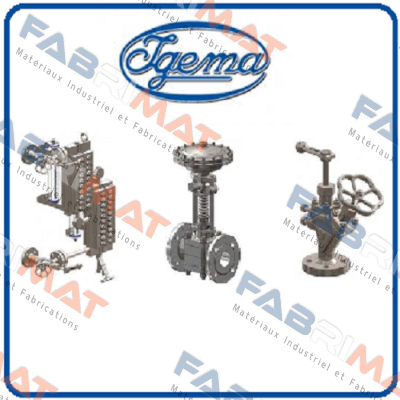 FLB 1 /20-00035 Igema