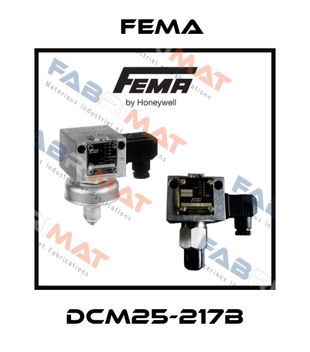 DCM25-217B FEMA