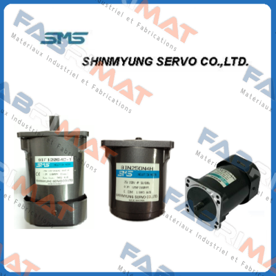 Air motor SMP-2P-600D Shin Myung