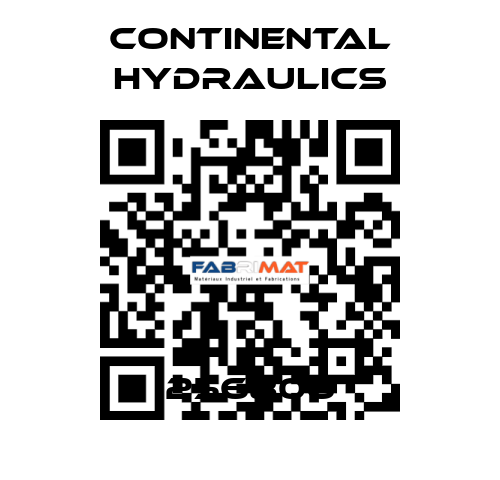 256806 Continental Hydraulics