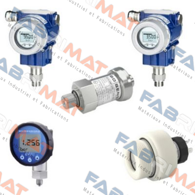 30.600G-6002-R-1-8-100-300-2-1-000 Bd Sensors
