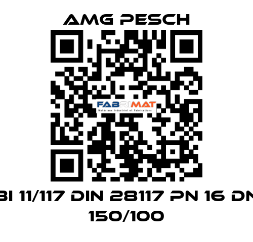BI 11/117 DIN 28117 PN 16 DN 150/100 AMG Pesch