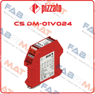 CS DM - 01V024 Pizzato Elettrica