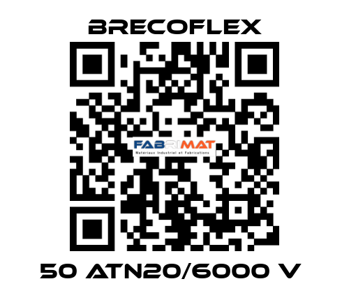 50 ATN20/6000 V  Brecoflex