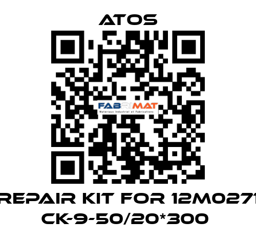 REPAIR KIT FOR 12M0271 CK-9-50/20*300  Atos