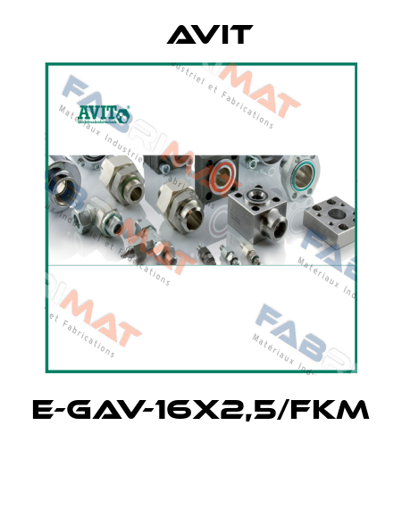 E-GAV-16x2,5/FKM  Avit