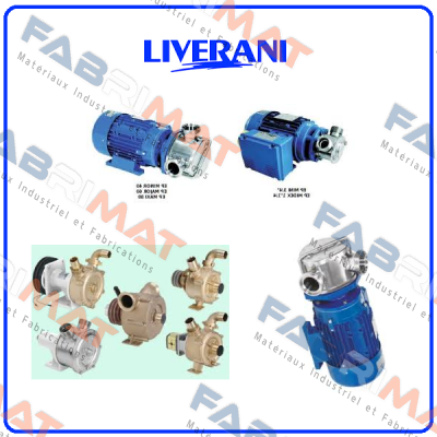 190060 Liverani