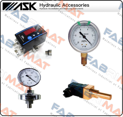 OPG-DE-R1/4-39X4MPA-S Mpa R1/4" 0-4  Ask