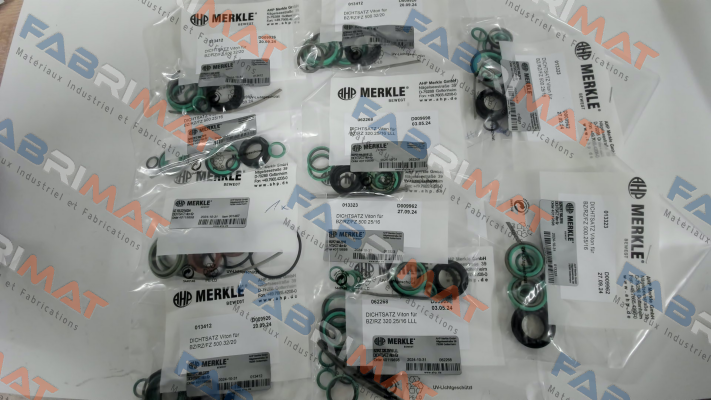 REPAIR KIT FOR BZ 500.25/16.03.201.060.NL33.V Merkle